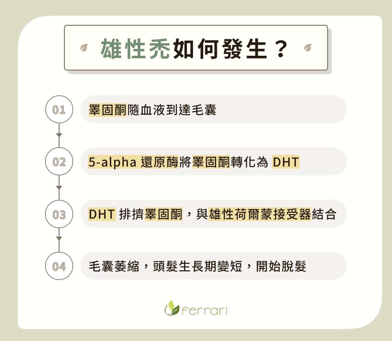 雄性禿如何發生？